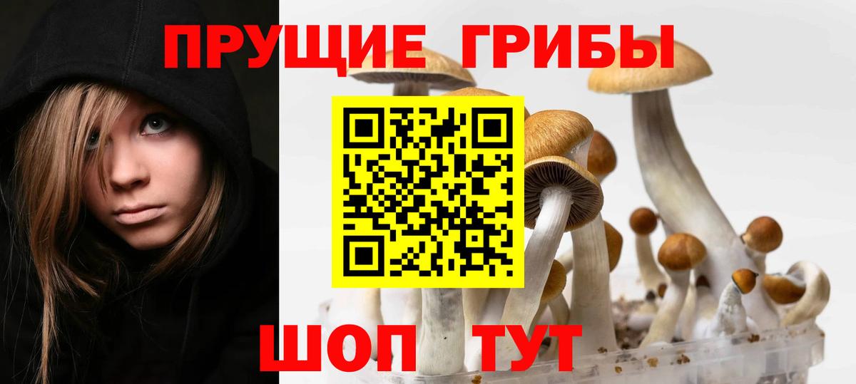 Псилоцибиновые грибы Magic Shrooms  Вход с VPN  Псилоцибиновые грибы ЛСД  Кингисепп 