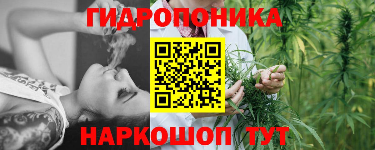 Бошки Шишки семена Кингисепп